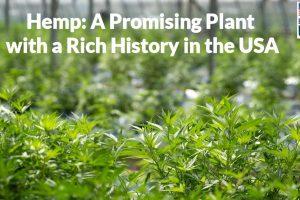 Hemp and USA Manufacturing